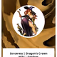 Sorceress | Dragon's Crown Wiki | Fandom
