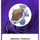 172779