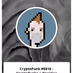 CryptoPunk #8818 - CryptoPunks | OpenSea