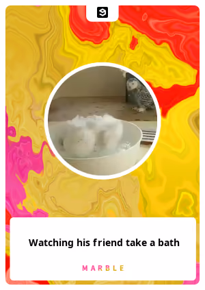 Watching his friend take a bath