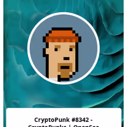 CryptoPunk #8342 - CryptoPunks | OpenSea