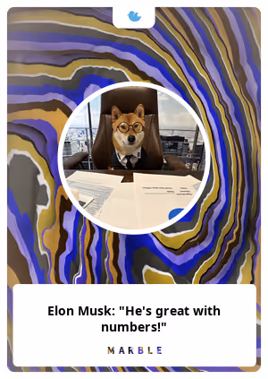 Elon Musk: "He's great with numbers!"