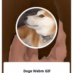 Doge Webm GIF 