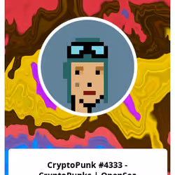 CryptoPunk #4333 - CryptoPunks | OpenSea