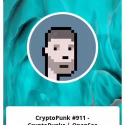 CryptoPunk #911 - CryptoPunks | OpenSea