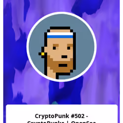 CryptoPunk #502 - CryptoPunks | OpenSea