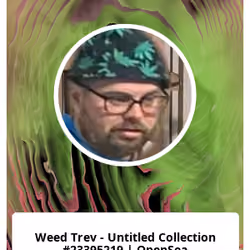 Weed Trev - Untitled Collection #23395219 | OpenSea