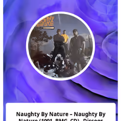 Naughty By Nature – Naughty By Nature (1991, BMG, CD) - Discogs