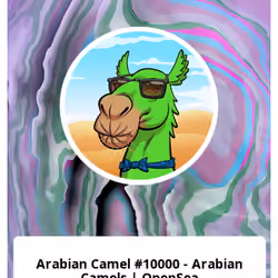 Arabian Camel #10000 - Arabian Camels | OpenSea