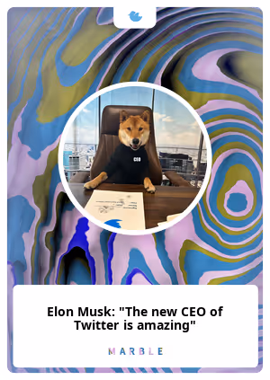 Elon Musk: "The new CEO of Twitter is amazing"