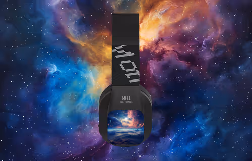 Item #460 Media