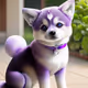 Queen Shib