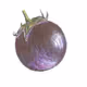 Round eggplant