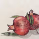 Pomegranate1