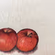 Tow Apples