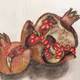 Pomegranate2