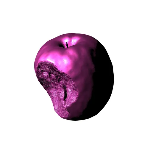 Item #18 Media
