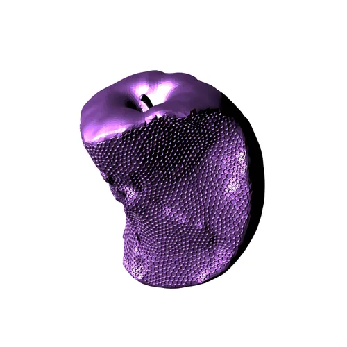 Item #83 Media