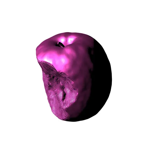 Item #28 Media