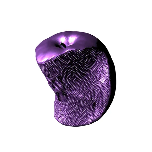 Item #73 Media