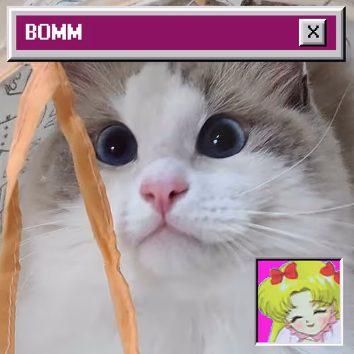 Bomm The Cat