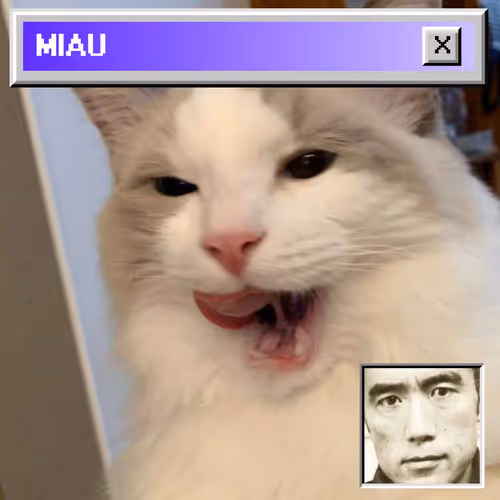 BOMM, THE CAT