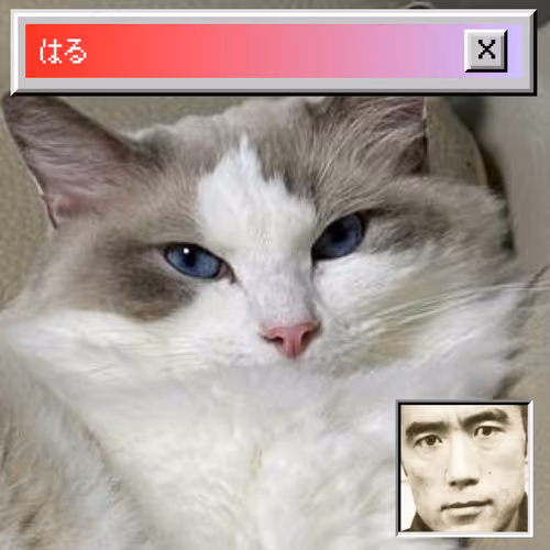 Bomm The Cat