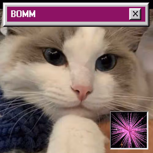 Bomm The Cat