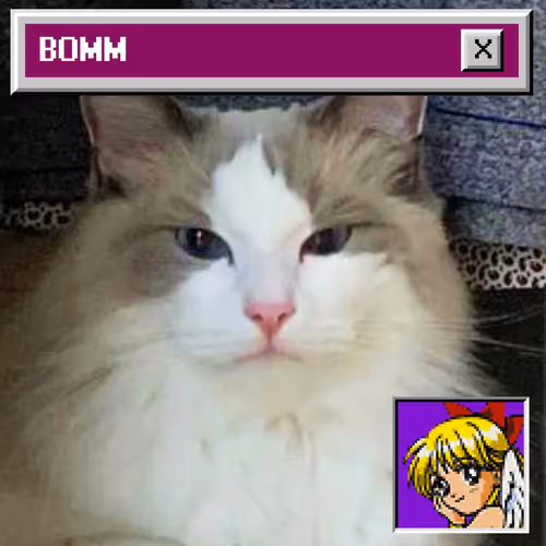 Bomm The Cat