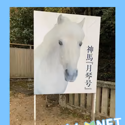 Kagawa-01