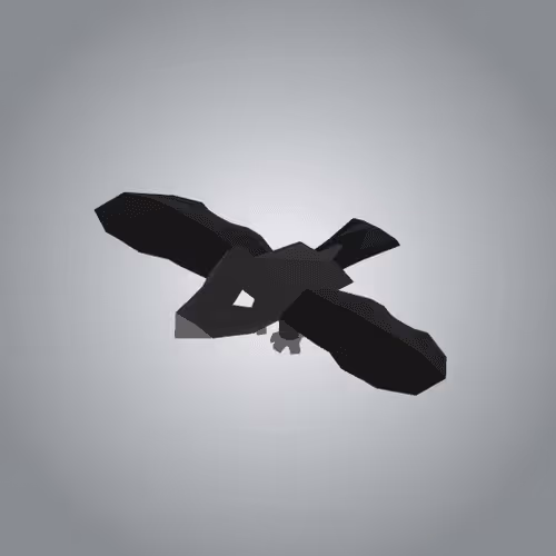Crow Head