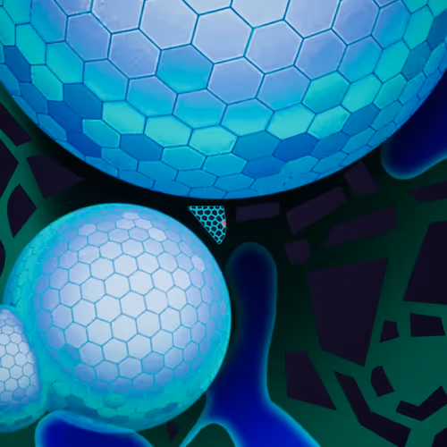 Item #50307110005 Media