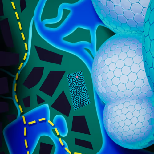 Item #30314460161 Media