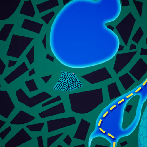 Item #40313940042 Media