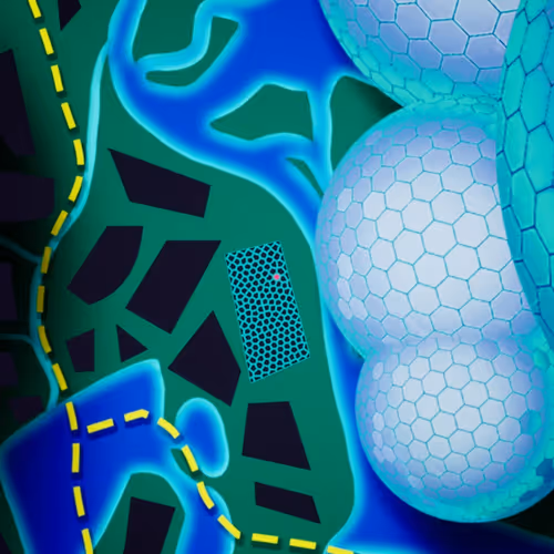 Item #30314460114 Media