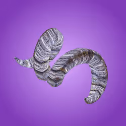 Ram Horns of Wonder