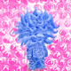 Bluepink #8