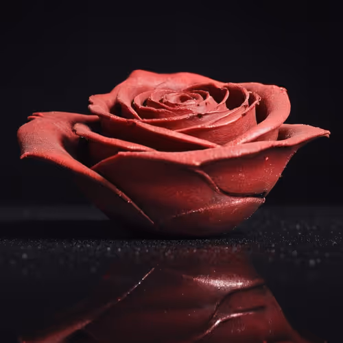 Item #53942270178133933381406980746523523529732857303513353263643588966353557520405 Media