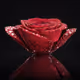 Ruby Rose