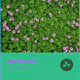 CloverDAO
