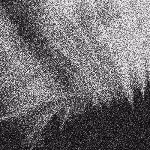 Mesh of a Bird