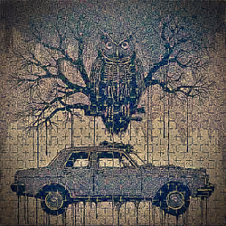 Owl and Nightmare