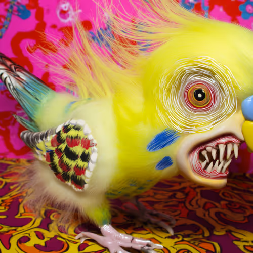 Crazy Birds 6