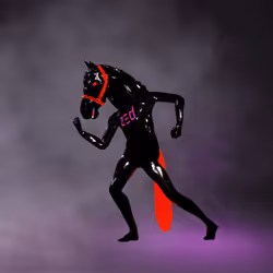 ZED Head #711