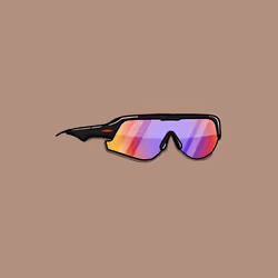 Enduro Sunglasses