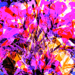 1246568116444232455666270226