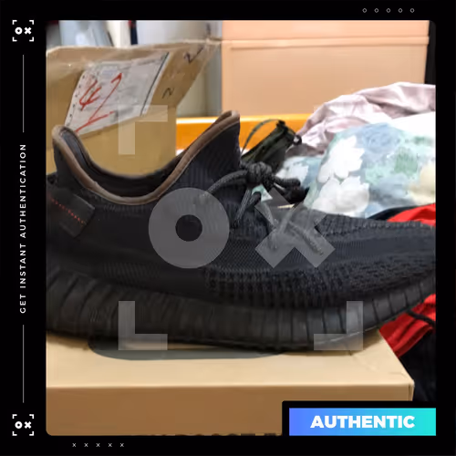 Item #675889350955378 Media