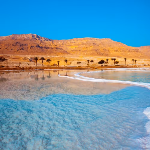 umarmase.lens-Collect-3163