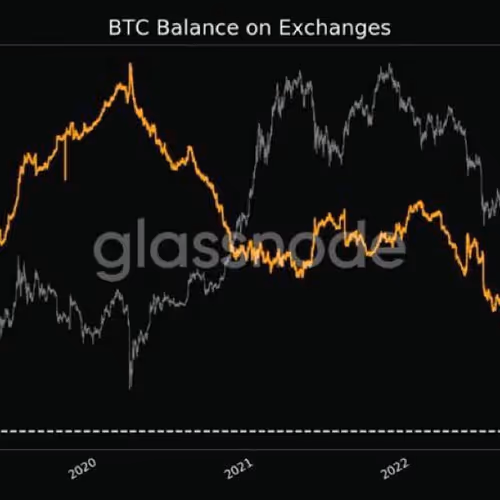 kingjunaid12.lens-Collect-2659