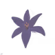 74537275573801570181462110409333041019398561924833377450537598317302005104642